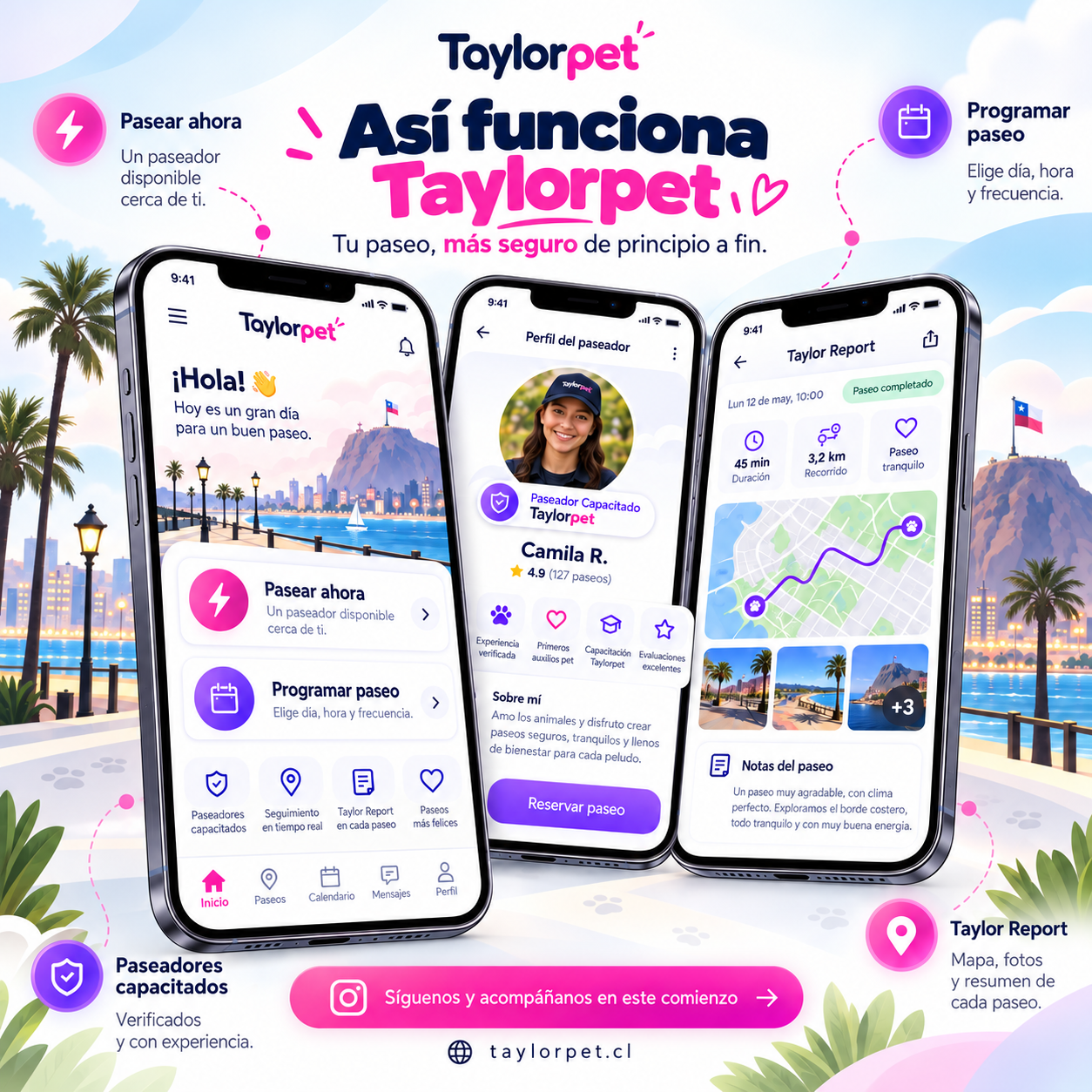 Vista de la experiencia Taylorpet en la app